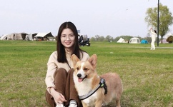 161电影网dy161.com